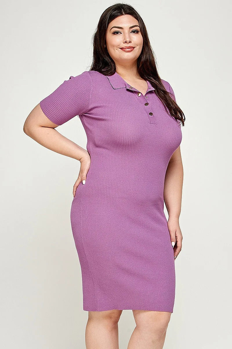 Plus Size Ribbed Knit Polo Dress